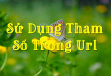 Sử dụng tham số trong url su-dung-tham-so-trong-url