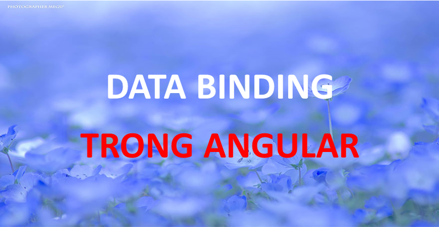 Data Binding Trong Angular - Thầy Long Web