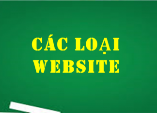 Các loại website các loại website