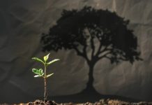 Quý từng buổi học quy từng buổi học